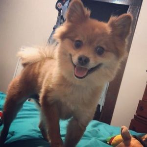 Meet your Posher, Heather